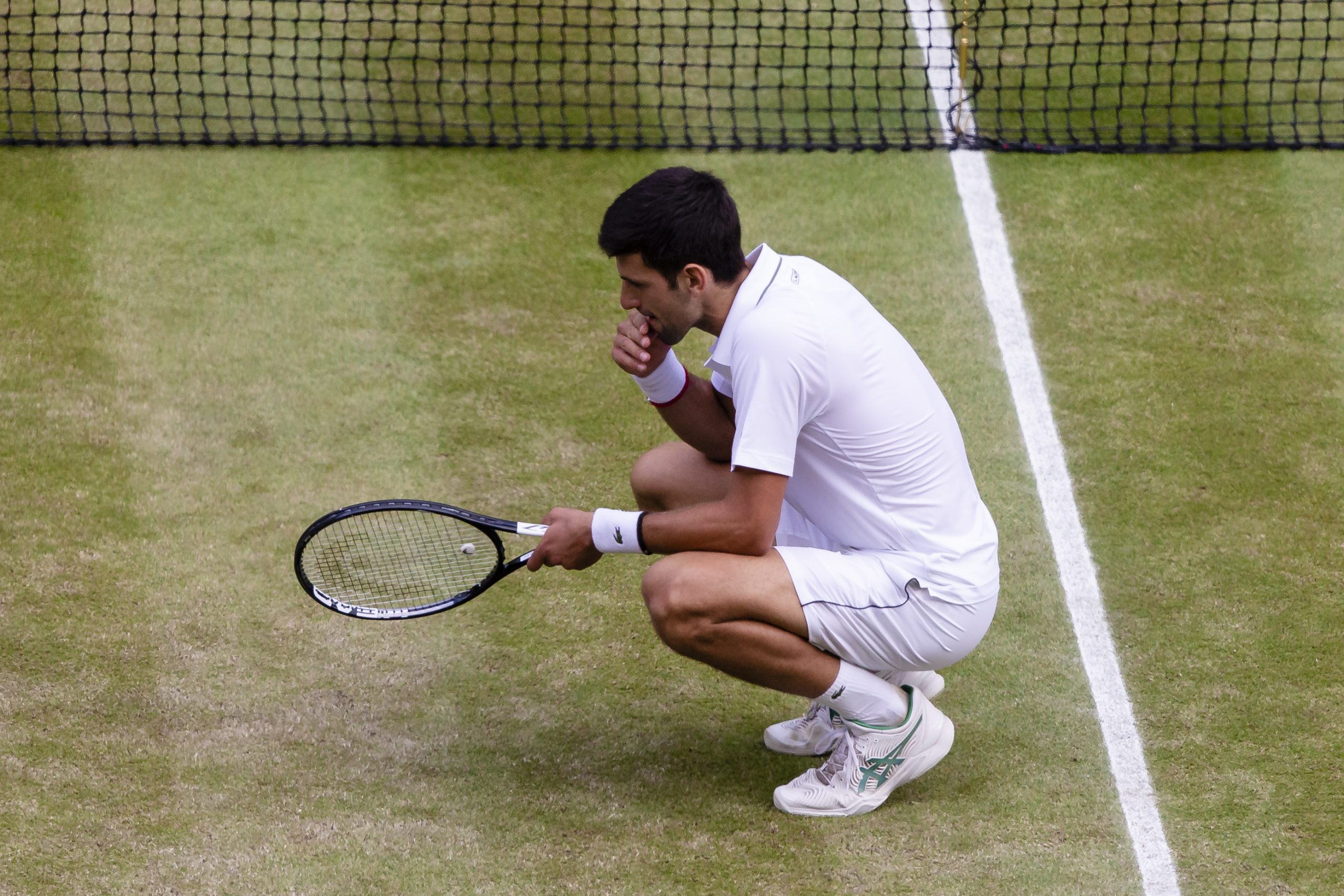 Resourceful Novak Djokovic snacks on grass Celebrate win his Wimbledon Champion because it requires fuel